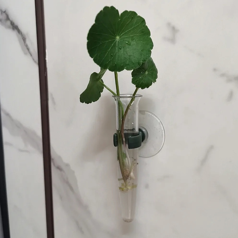 11cm Çiçek Su Tüpleri Plastik  - Nutrition & Fitness Hub incelemesi ve fiyatı